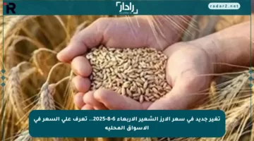 تغير جديد في سعر الأرز الشعير الأربعاء 6-8-2025.. تعرف على السعر في الأسواق المحلية